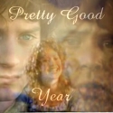 Read Pretty Good Year
