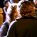 screencapture from the Fellowship of the Ring