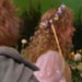 Screencapture from DVD extras